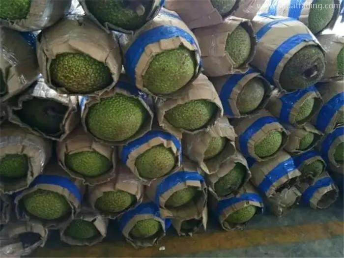 进口越南菠萝蜜空运报关的流程进口越南水果准入