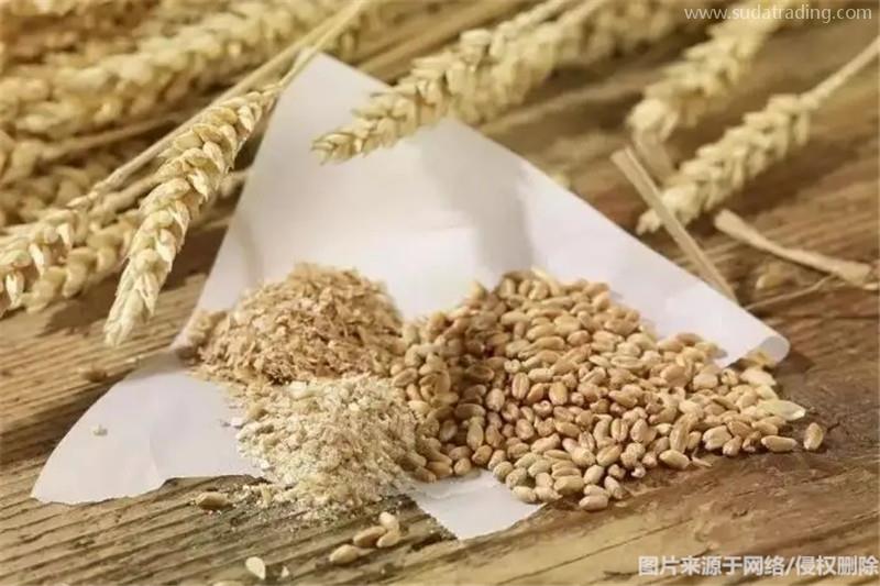 进口哈萨克斯坦麦麸报关流程进口饲料麦麸报关注意事项