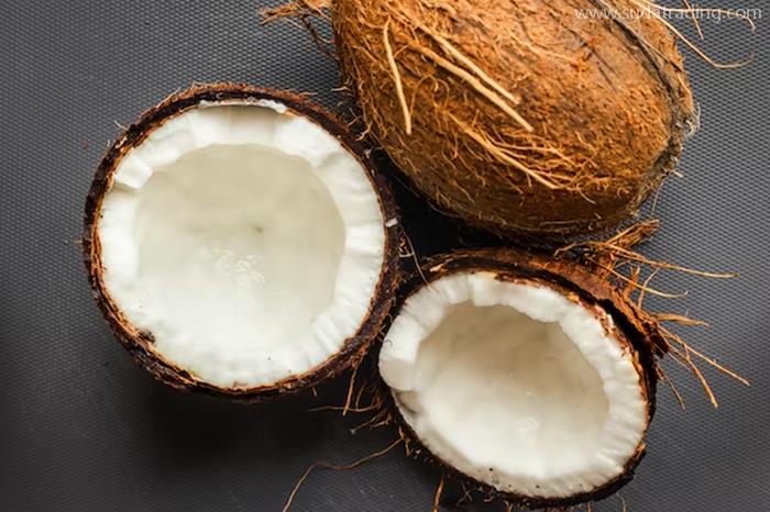 进口马来西亚新鲜椰子报关的流程椰子进口准入