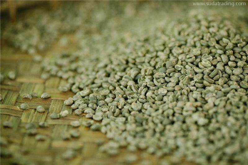 坦桑尼亚进口生咖啡豆报关的注意事项有这4点