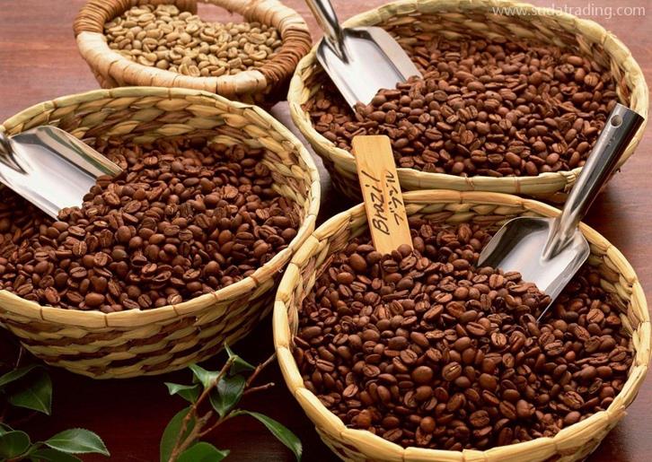 上海进口肯尼亚咖啡豆报关费用-20年食品进口报关行