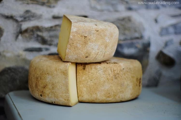 荷兰奶酪进口到上海空运报关的注意事项奶酪进口报关资料