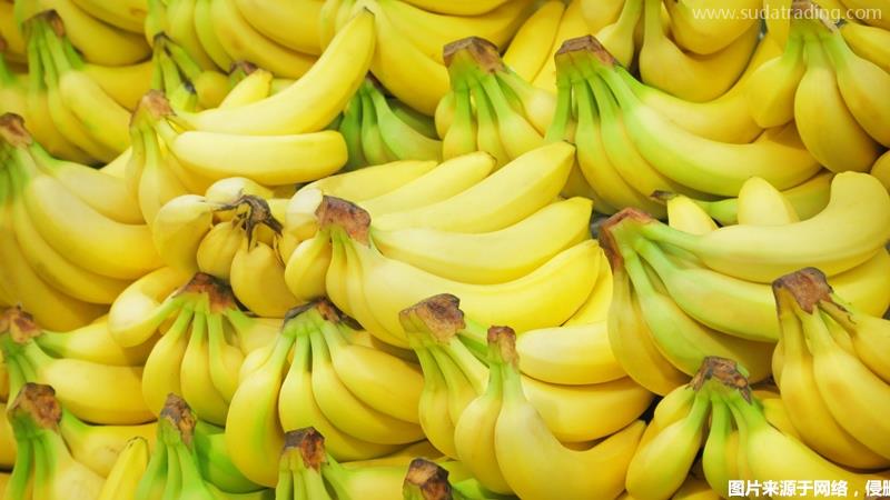 东南亚进口香蕉报关流程手续进口水果报关程序