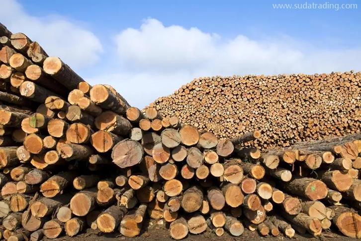 青岛原木进口清关流程木材进口报关资料