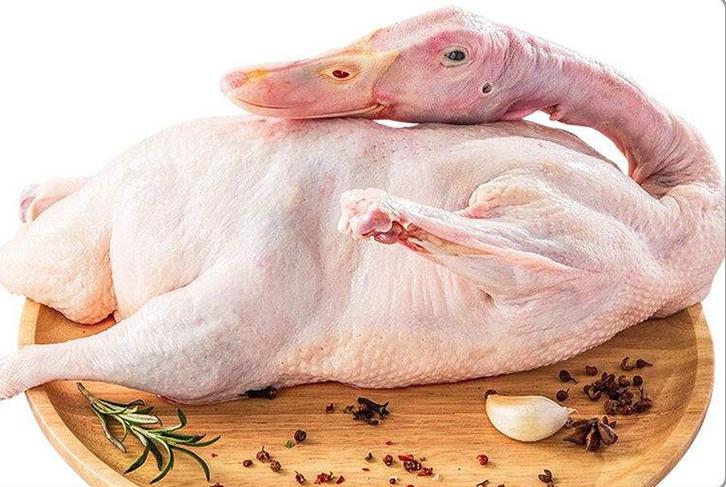 泰国冷冻鸭肉进口报关手续-19年冷冻肉类报关行