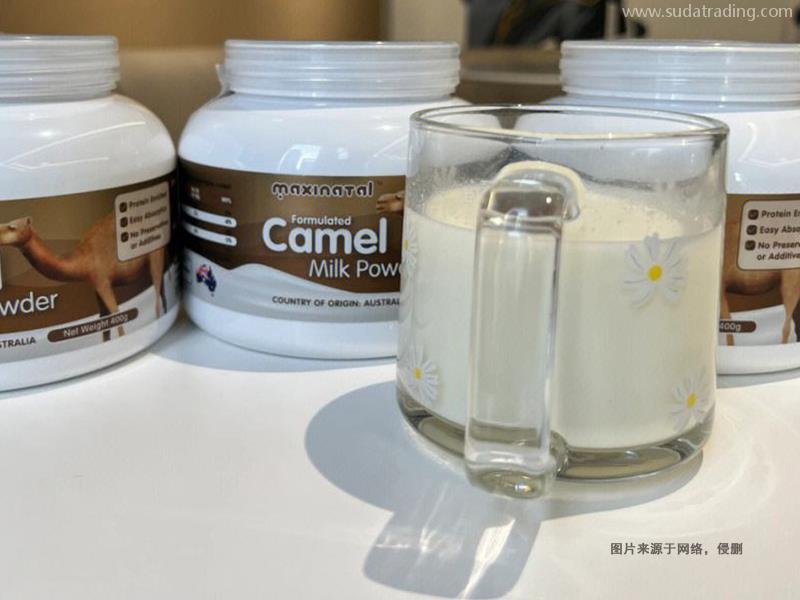 阿联酋骆驼奶粉进口清关资料8样乳制品申报要素