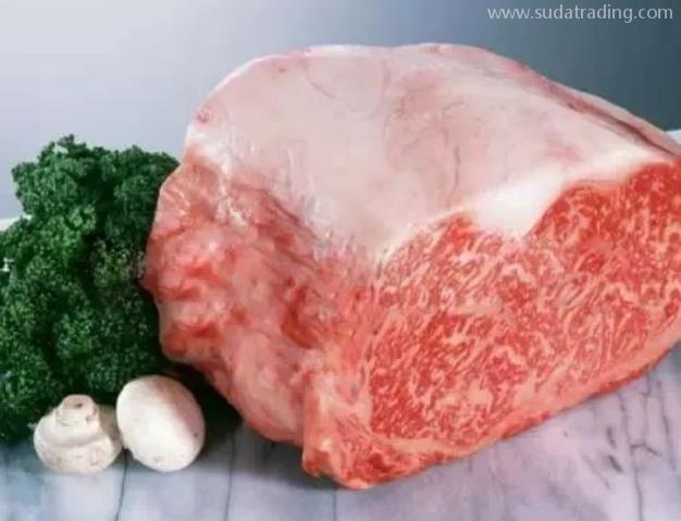 冷冻肉进口报关单证资料及流程