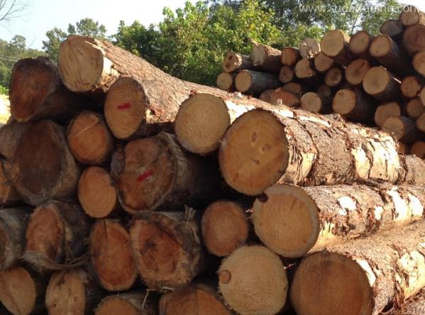 木材进口所需单证资料