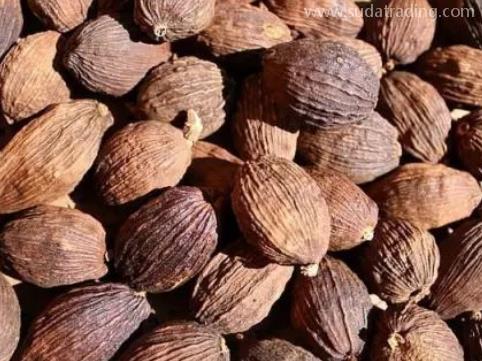 砂仁进口规范申报步骤