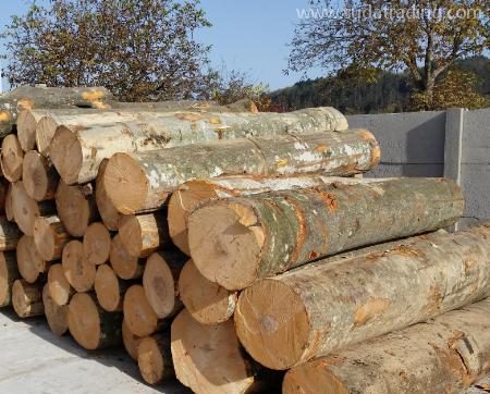 木材原木进口报关清关手续及操作流程？