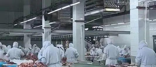 【进口知识】进口俄罗斯牛肉检验检疫和卫生要求