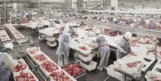 【进口知识】进口俄罗斯牛肉检验检疫和卫生要求
